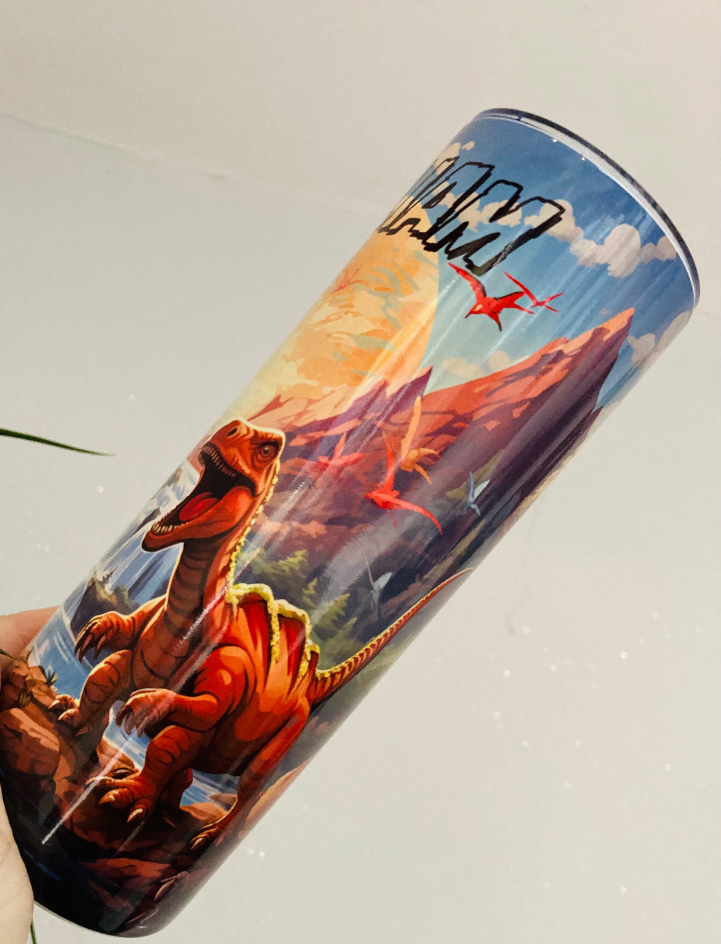 DINOSAUR 20oz tumbler with lid & straw. Personalised, straight