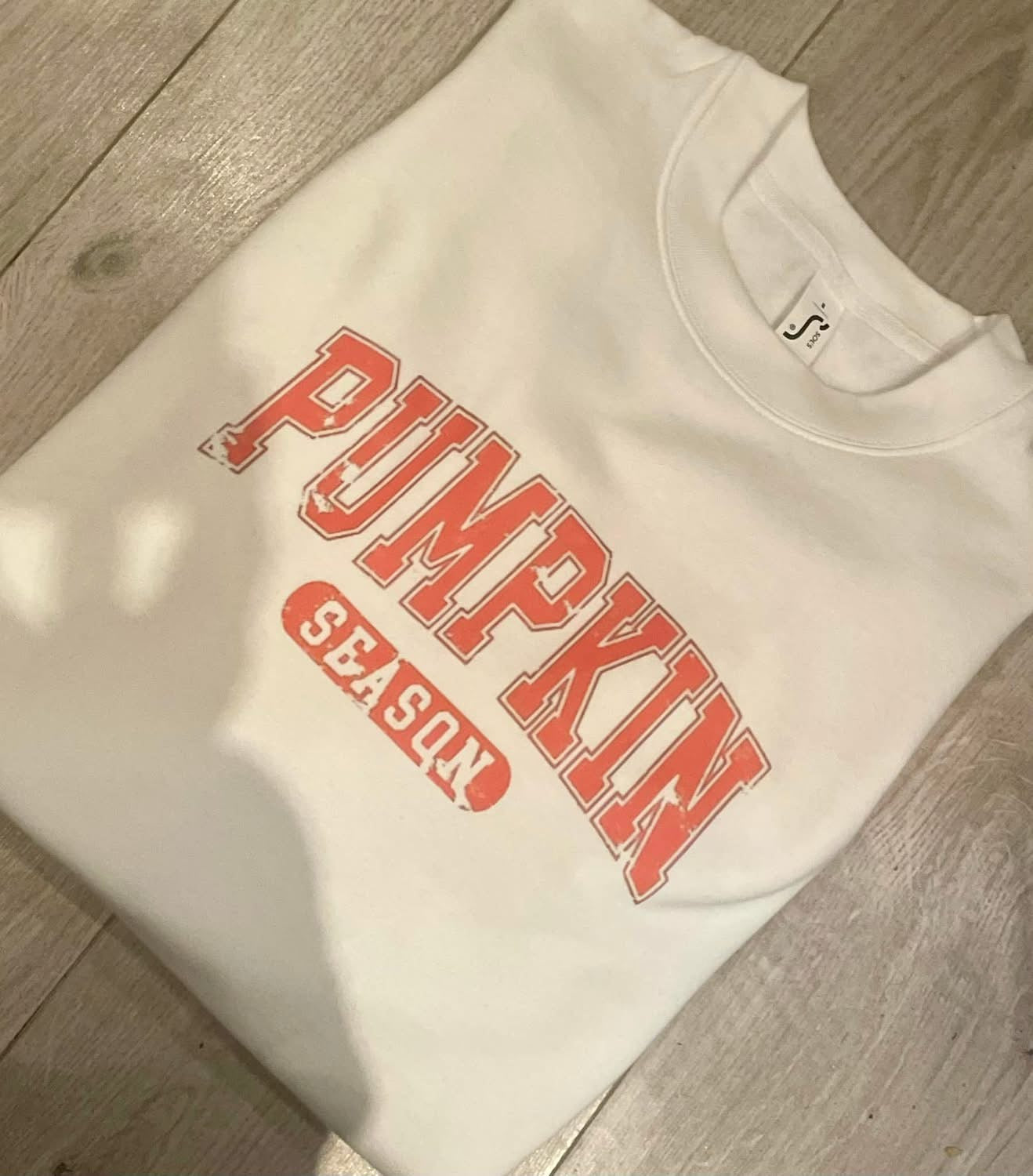 Pumpkin season jumper Clearance size L