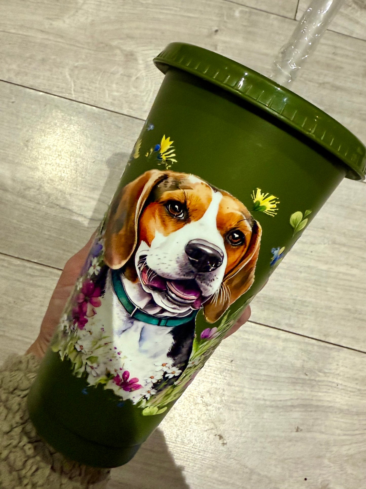 Dog cold cup Clearance